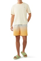 Dip Dye Board Shorts